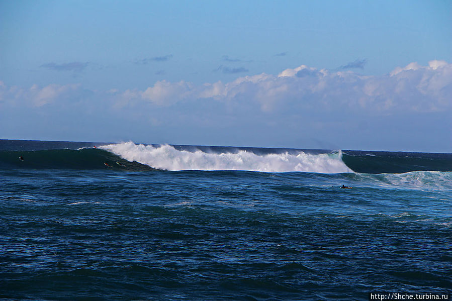 такие могучие волны и без серферов вызывают уважение и восхищение Кауэла-Бэй, остров Оаху, CША