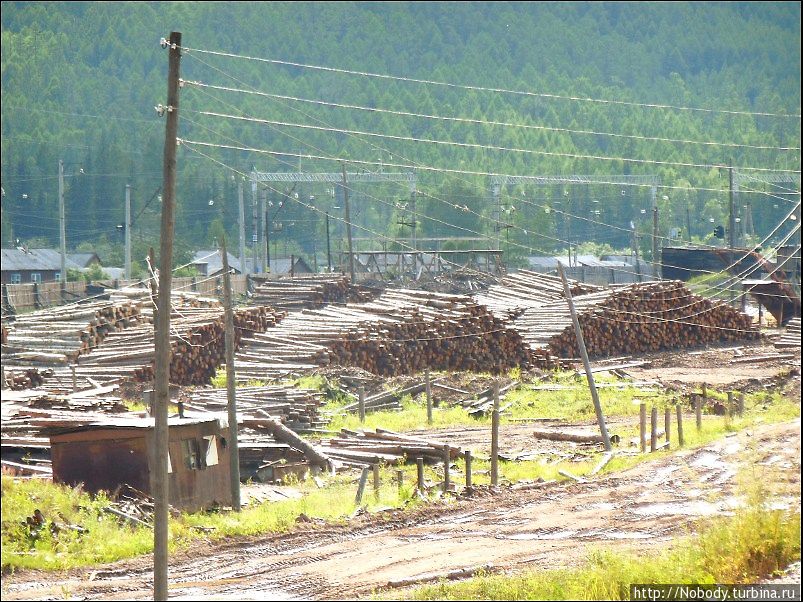 В Звёздном, как и во многих окрестных посёлках, функционирует лесопилка. Иркутская область, Россия