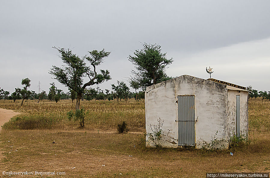 Необычная деревня Ндем Ндем, Сенегал