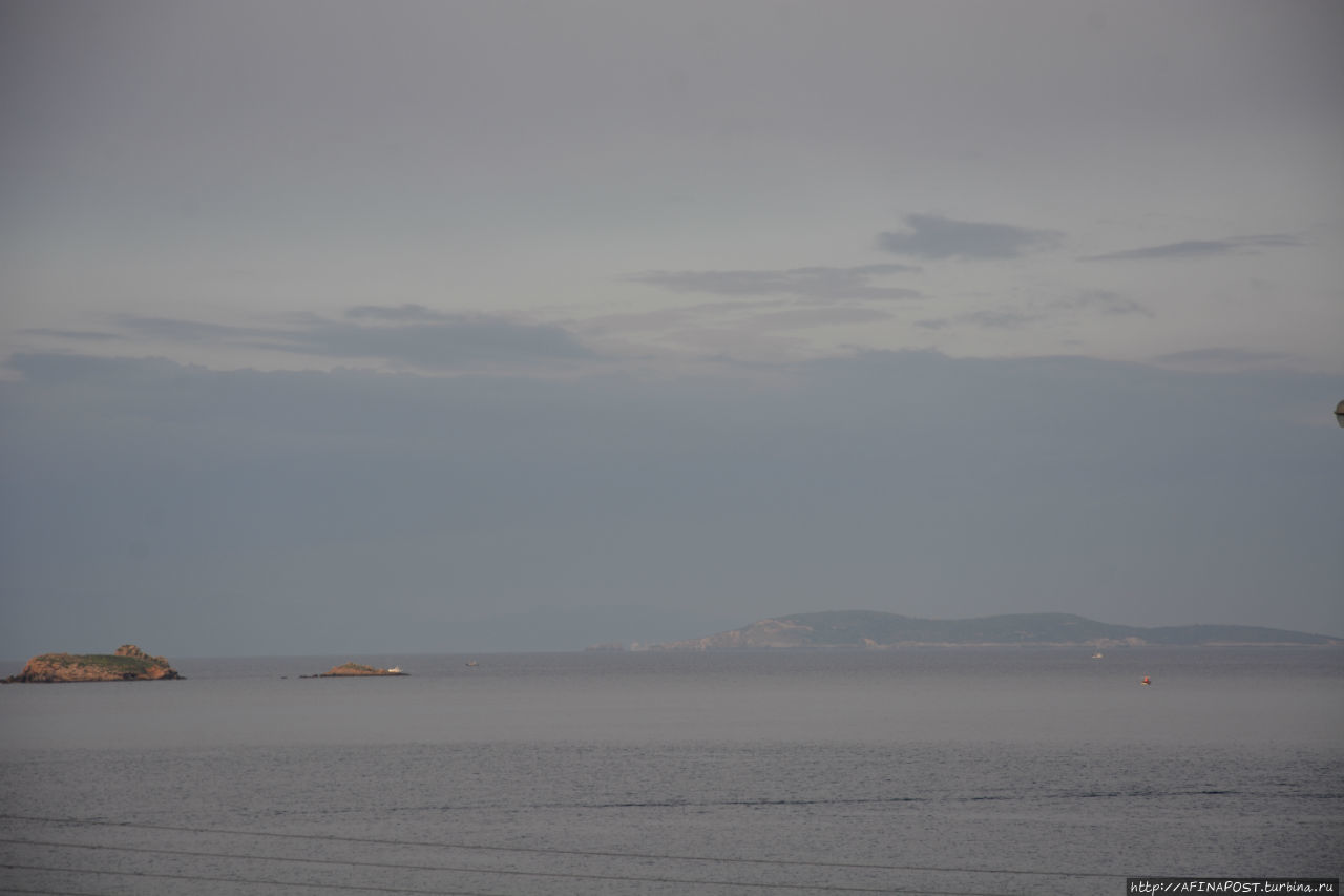 Все оттенки серого