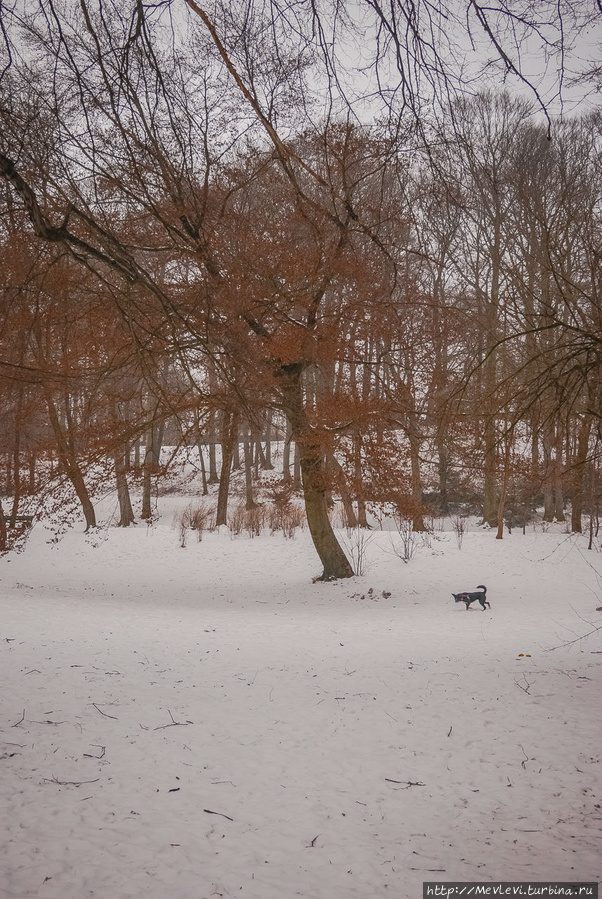На берегу Изара Мюнхен, Германия