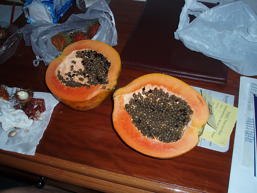 Янгон. Разведка Янгон, Мьянма