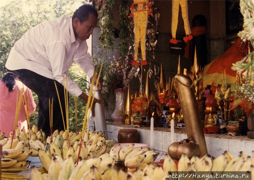 Фото из интернета