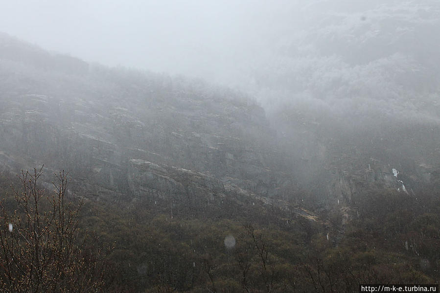 Дождь, туман и другие трудности похода к Бриксдальсбреен Олден, Норвегия