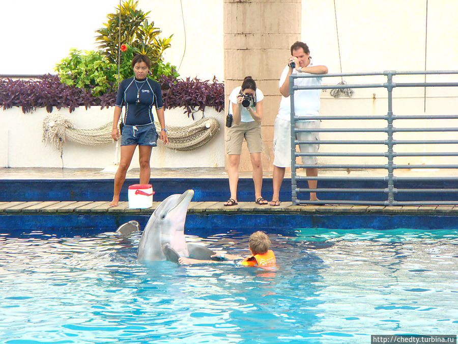 Мы катались на ... Остин, CША