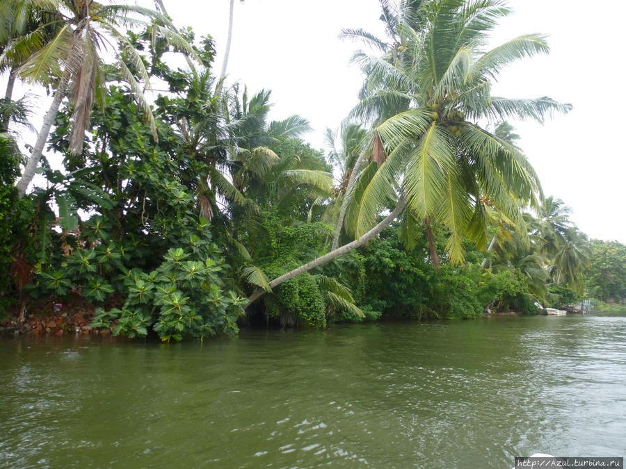Река Бентота Калутара, Шри-Ланка