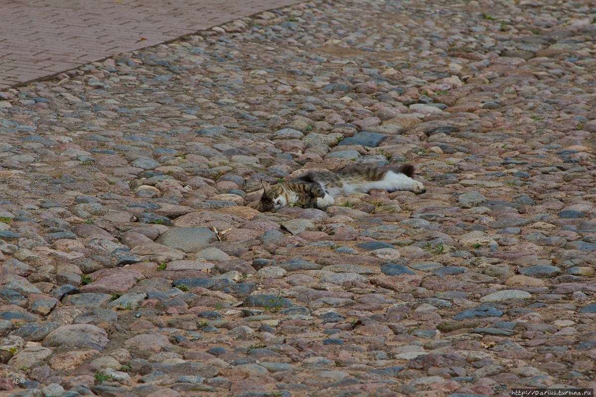 Печоры Печоры, Россия