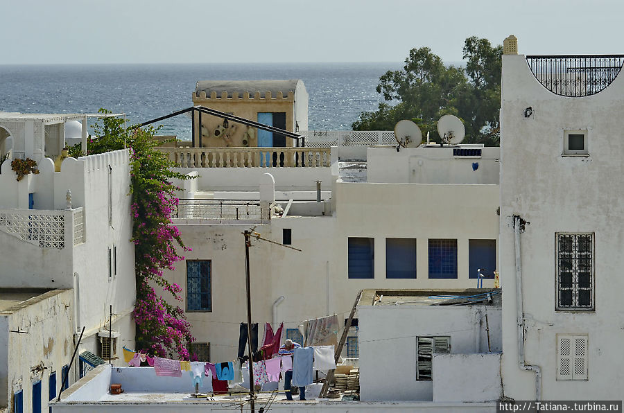 Хаммамет Тунис