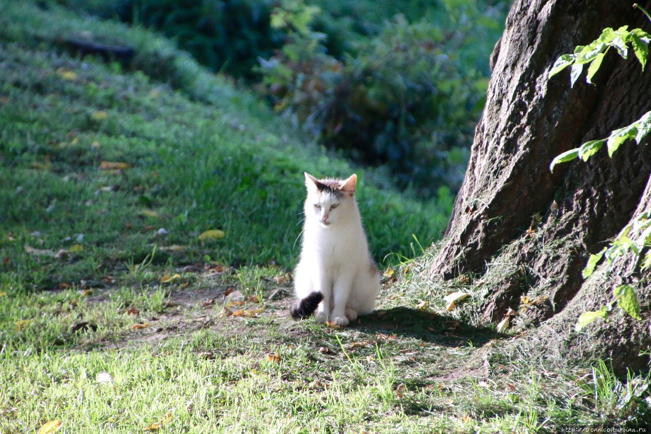 Перевернутая Руса Старая Русса, Россия