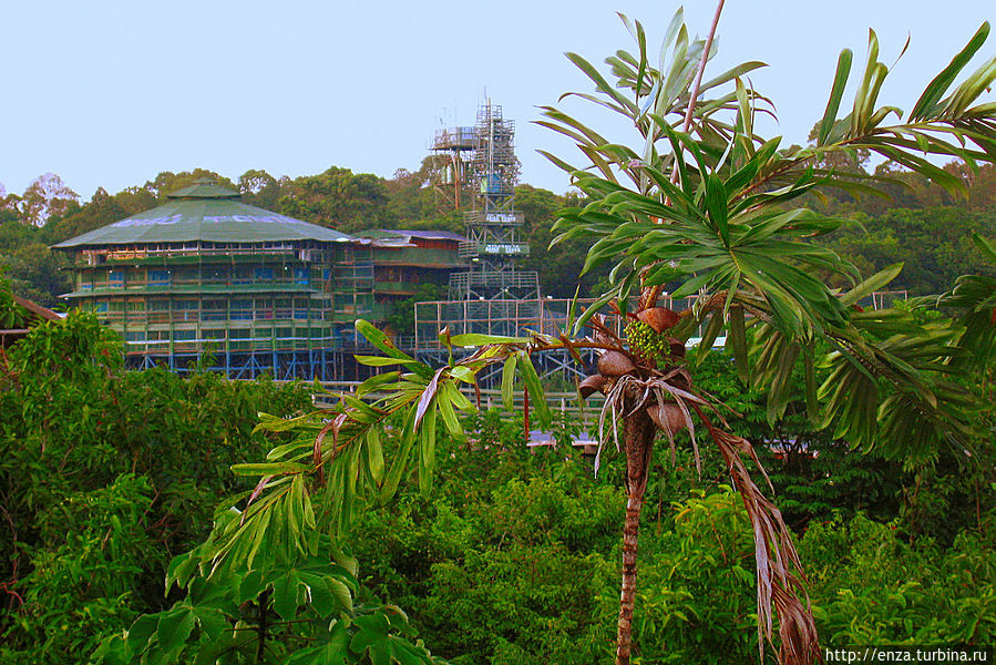 Приключения в Амазонии Бразилия