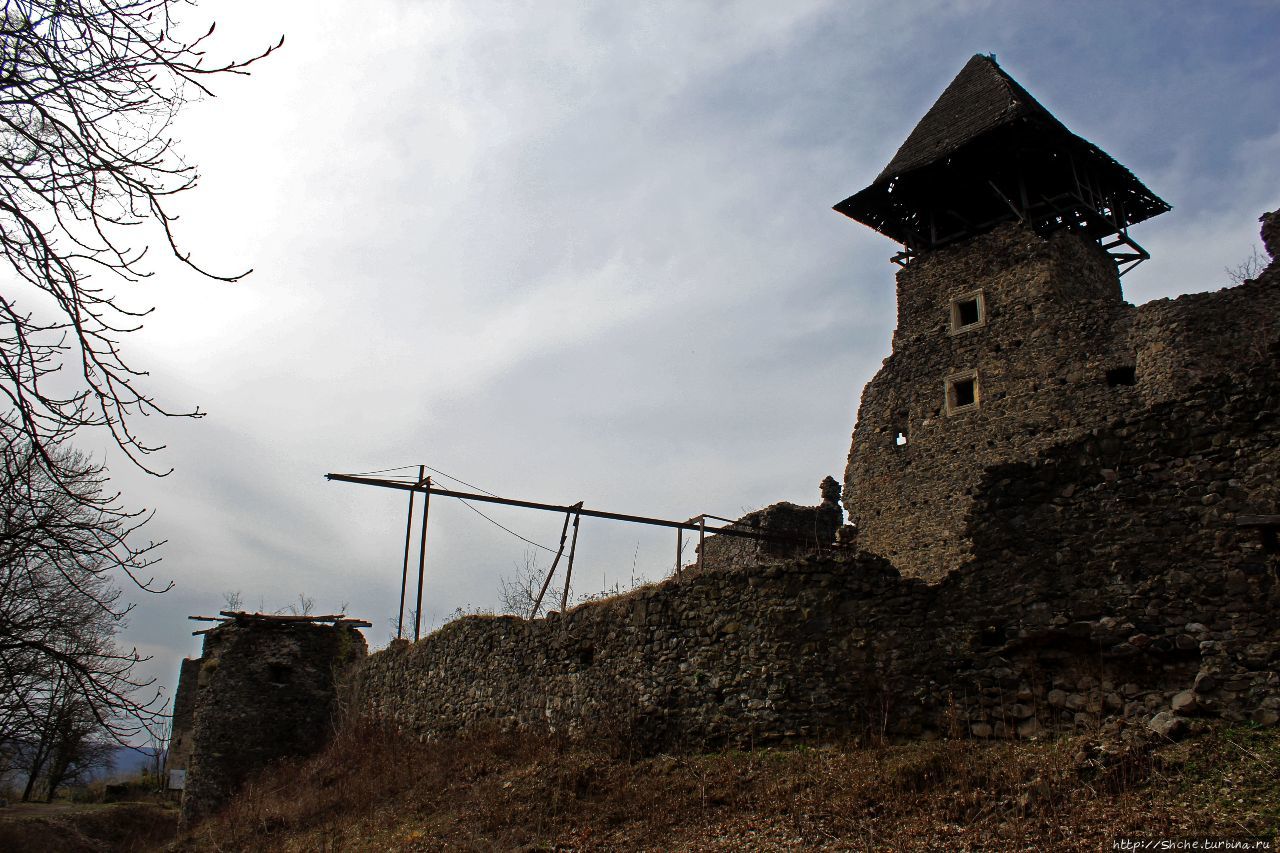Невицкий замок Невицкое, Украина