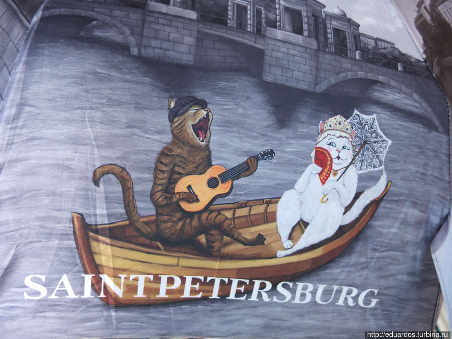зонтичные кошки Санкт-Петербург, Россия