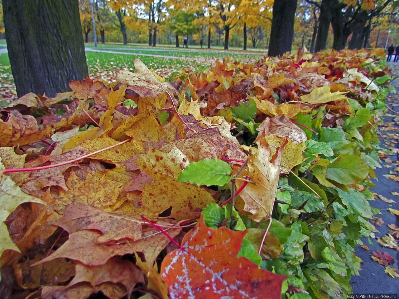 Фрогнер-парк Осло, Норвегия