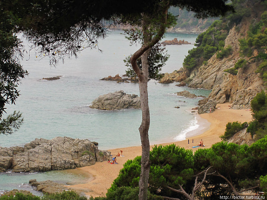 Тур по садам и пляжам Ллорет-де-Мар, Испания