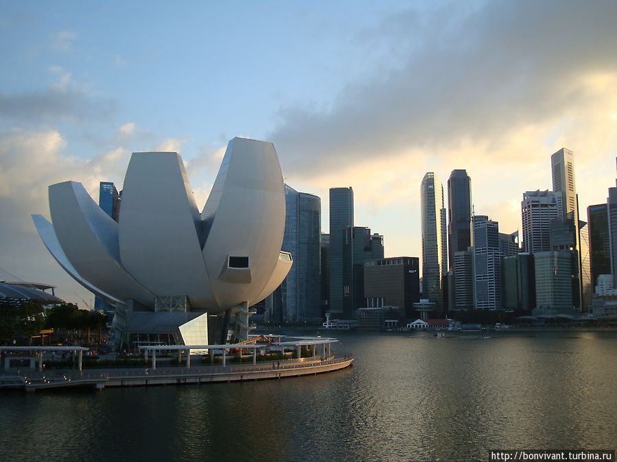 Музей в форме лотоса Сингапур (город-государство)