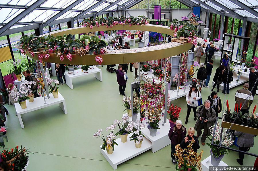 Вид на Павильон сверху