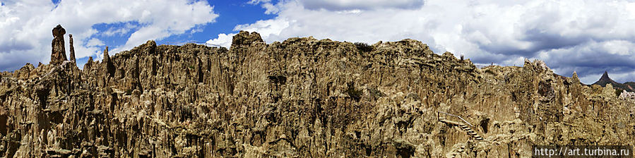 Ла-Пас. Лунная долина. Камни и кактусы.