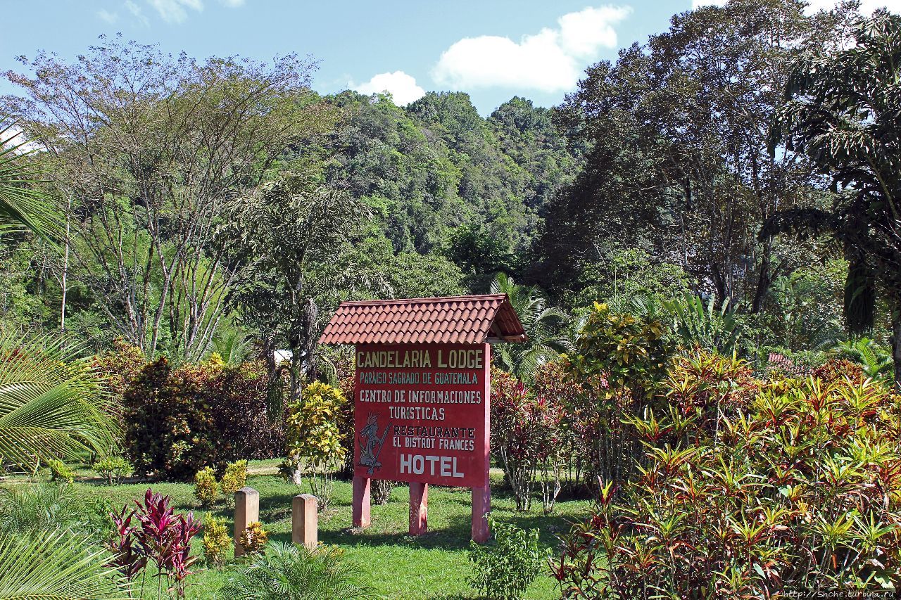 Канделярия Лодж / Candelaria Lodge