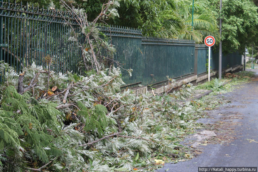 Последствия стихии Сен-Дени, Реюньон