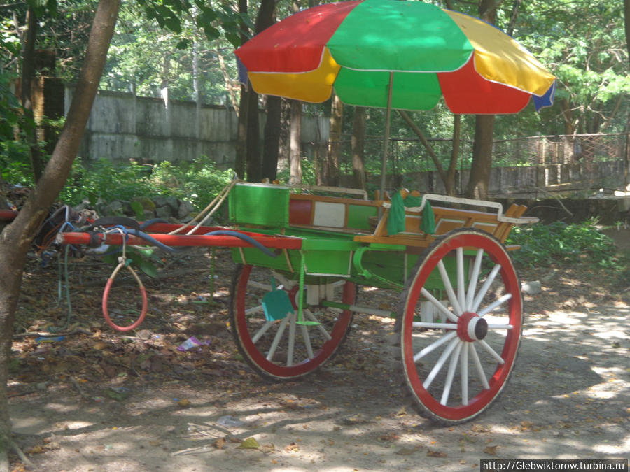 Yangon Zoological Garden Янгон, Мьянма