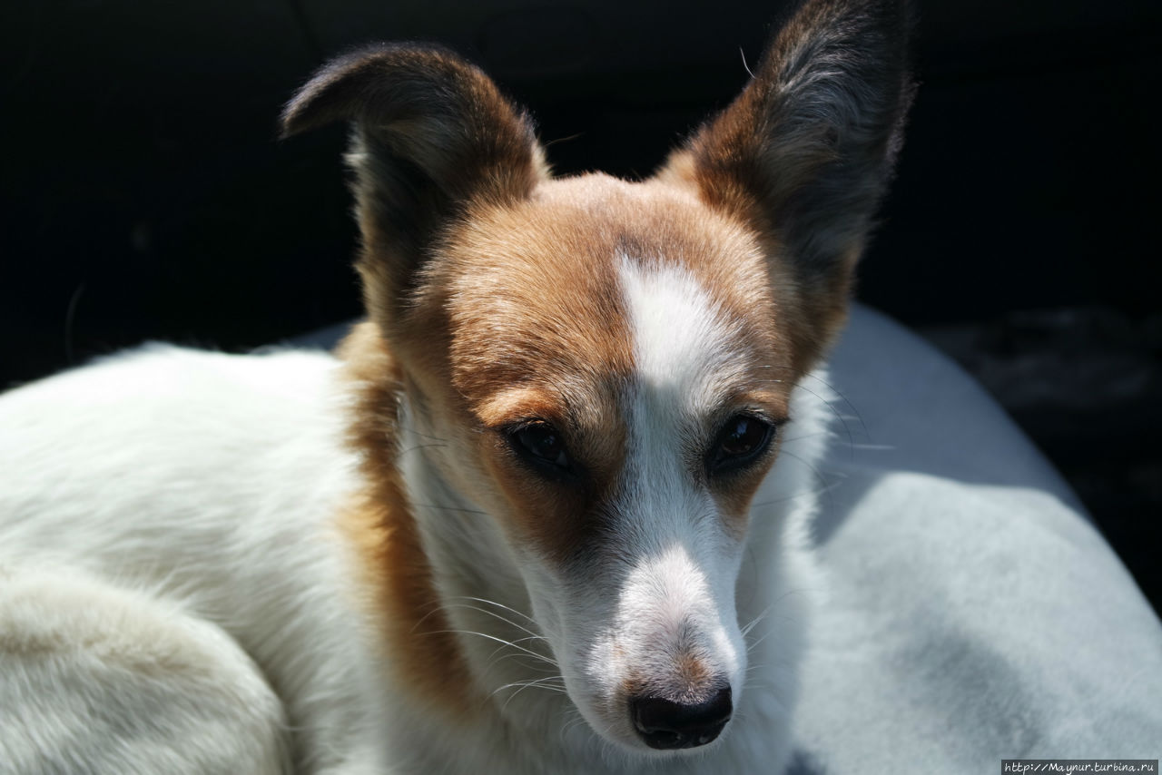 Песня  весне... Южно-Сахалинск, Россия