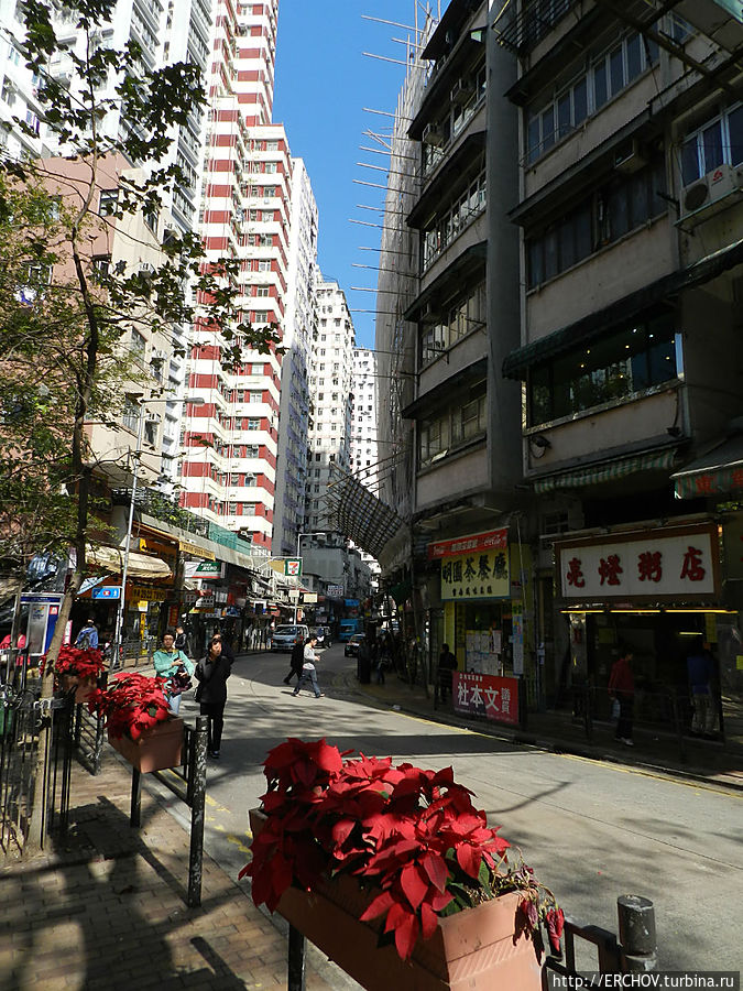 Гонконг + Макао + Гонконг. Ч-8.  Даосизм и Конфуцианство Гонконг