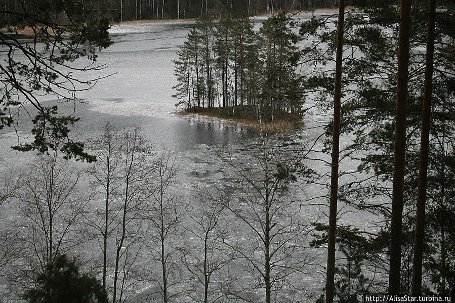 Унесенные ветром Пункахарью, Финляндия