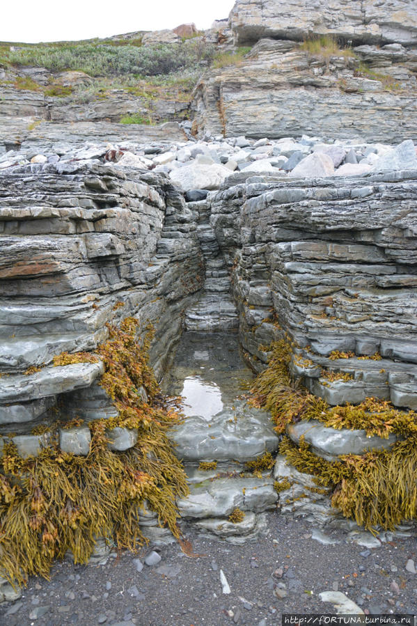 Чтобы помнили Мурманская область, Россия