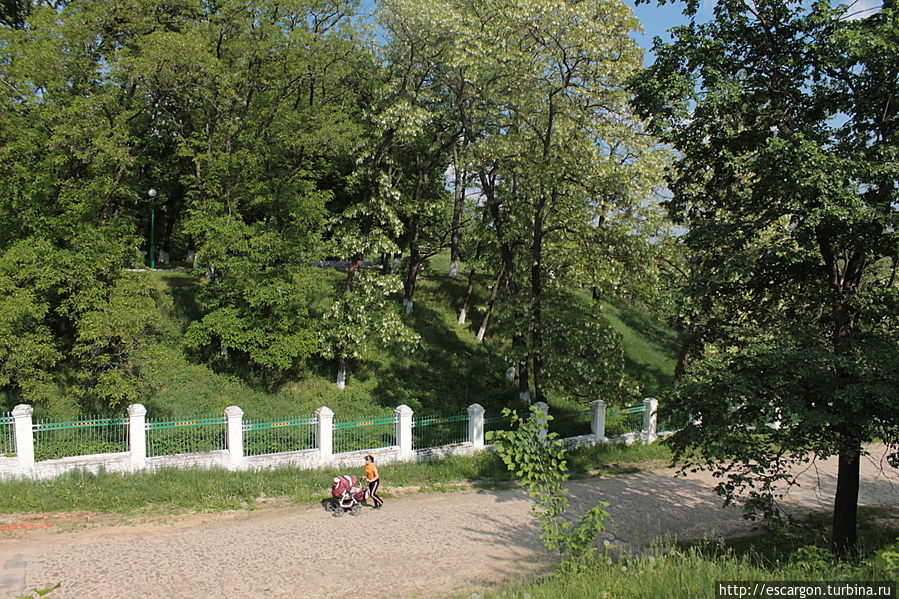 ...а через дорогу парк...