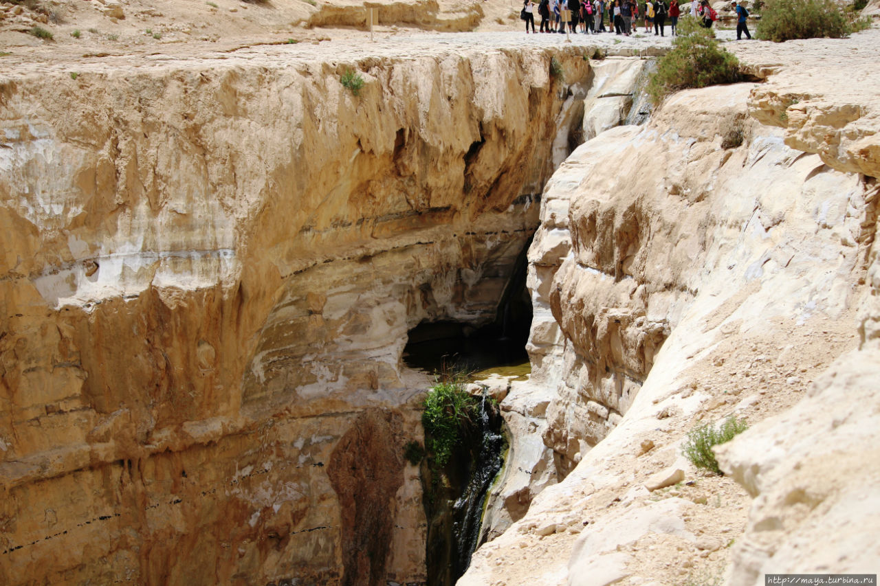 Весной по Негеву: Эйн Авдат Эйн-Авдат Каньон, Израиль