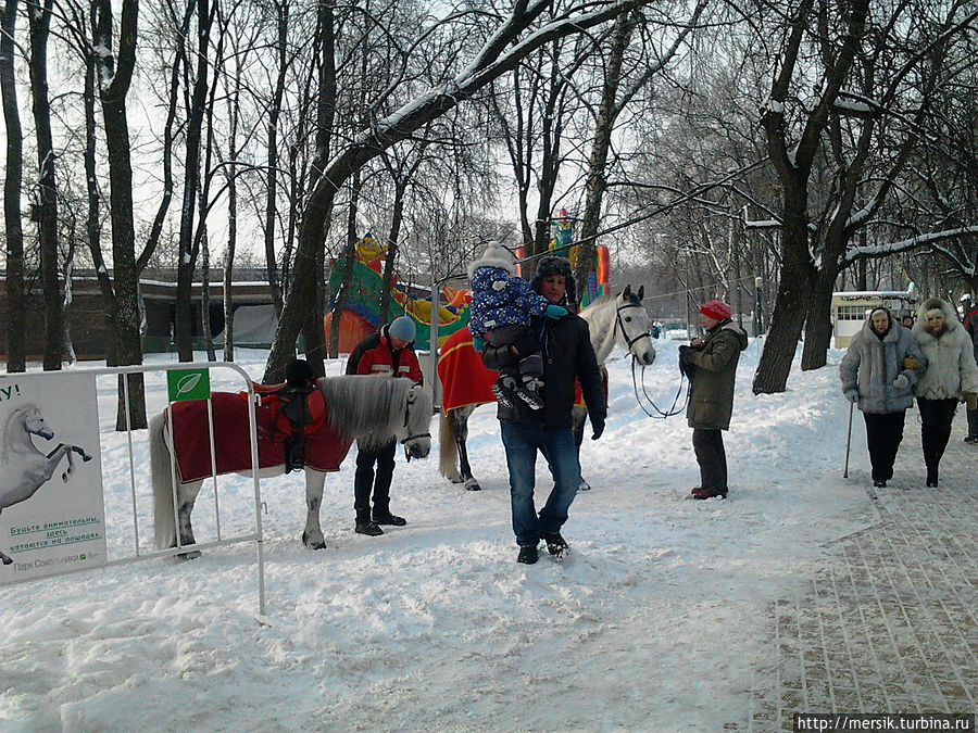 Зимние развлечения в парке Сокольники Москва, Россия