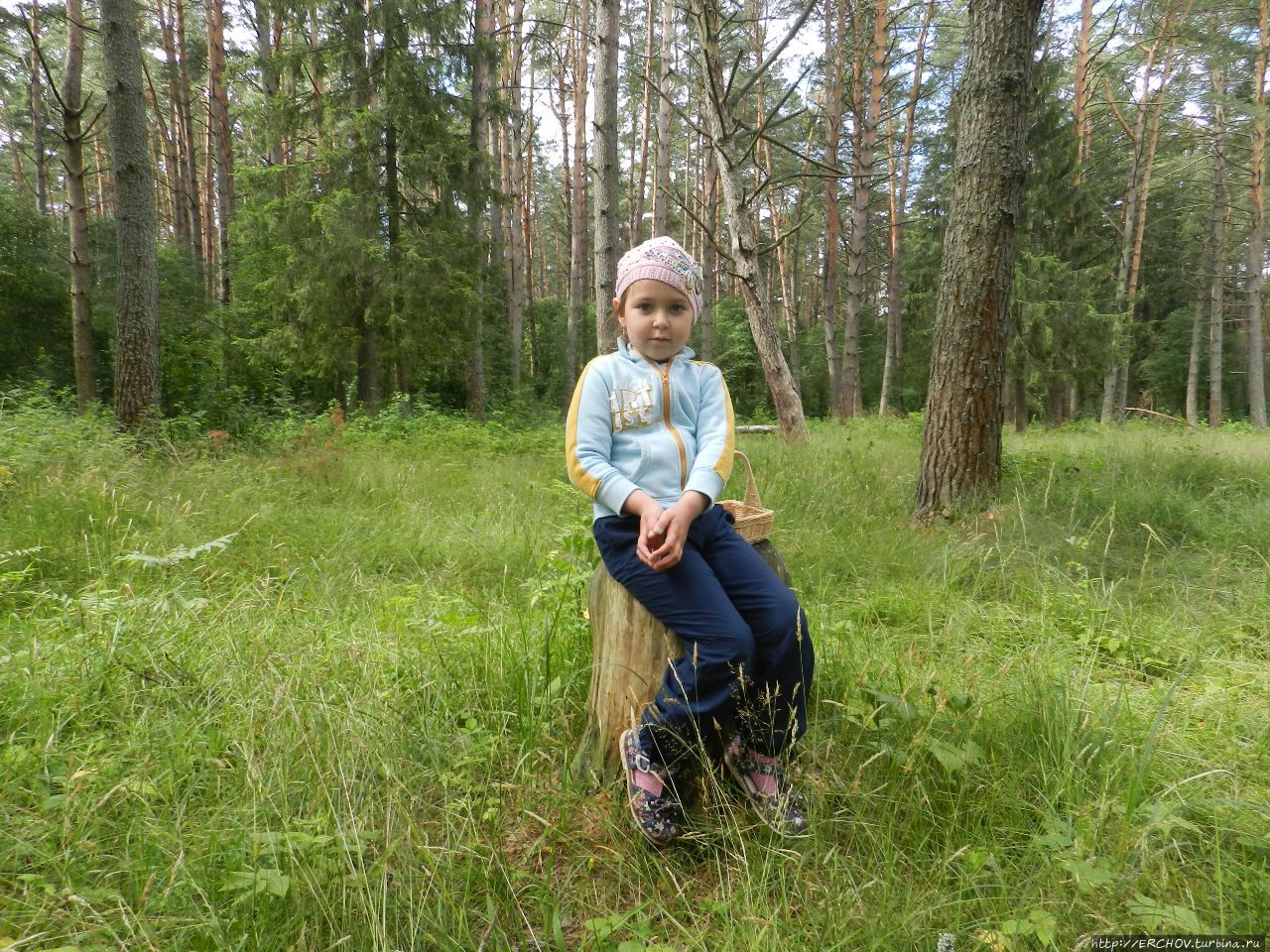 Шумел черешней брянский лес Брянская область, Россия