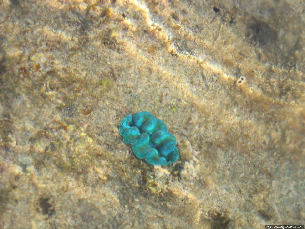 Пляж отеля Berjaya Tioman Beach Пулау-Тиоман, Малайзия