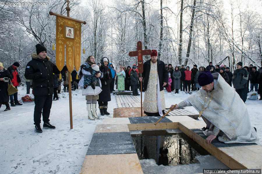 Крещенские купания в Стрельне 2014