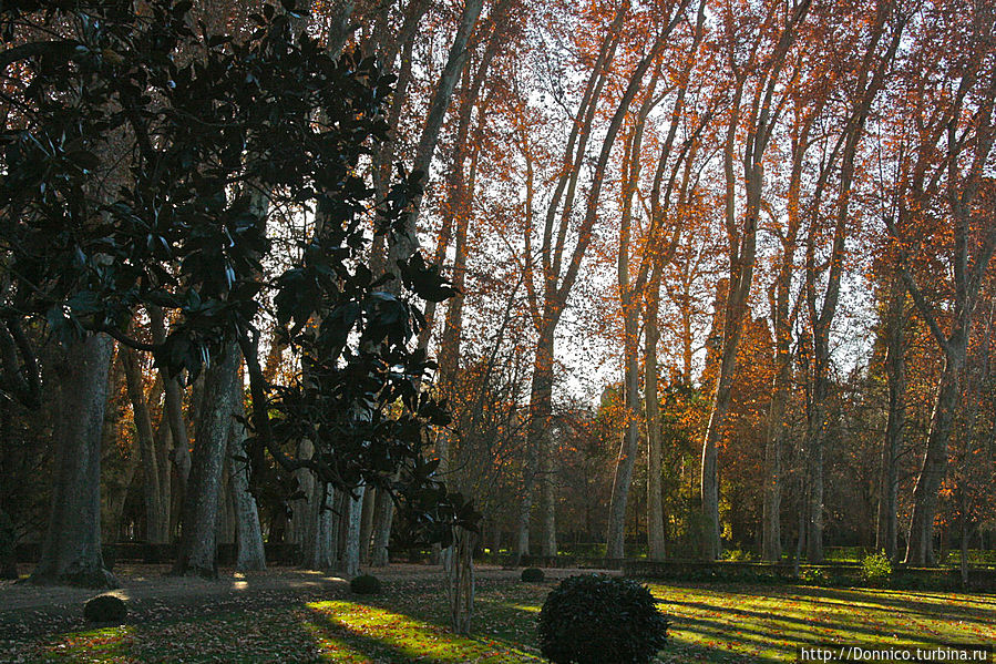 Сады Принца Аранхуэс, Испания