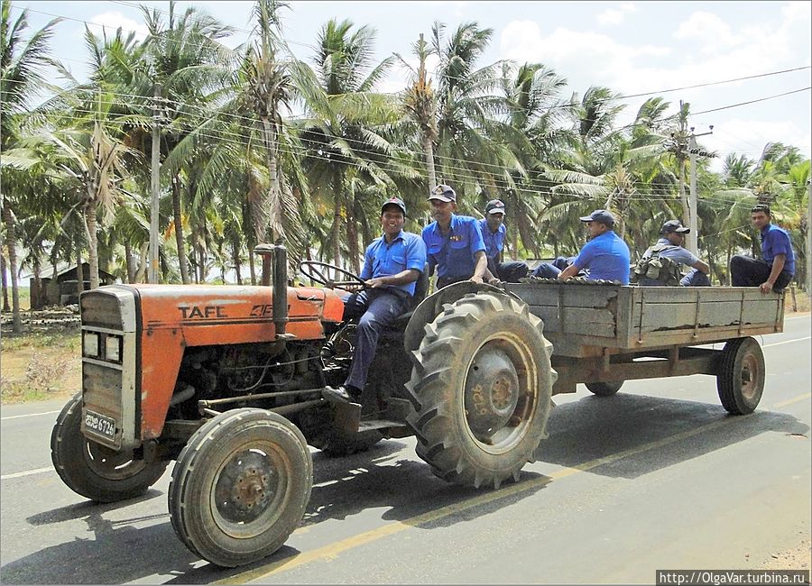 Современная техника Шри-Ланки напомнила мне трактор 30-х годов, тот, что бороздил колхозные поля в фильмах Пырьева Тринкомали, Шри-Ланка