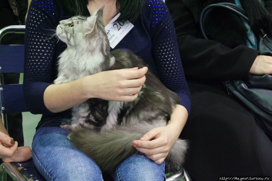 Самые  любимые... Южно-Сахалинск, Россия