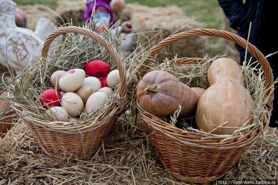 Ландшафтный дизайн на празднике фантазии (Воронеж) Воронеж, Россия