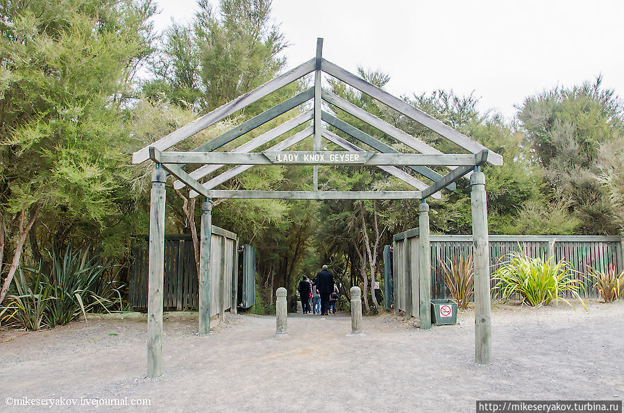 Новая Зеландия. День 6. Вай — О — Тапу Роторуа, Новая Зеландия