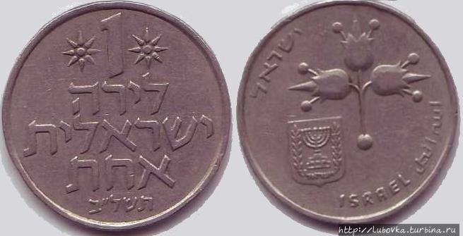 Пальмы, гранат, лилия Израиль