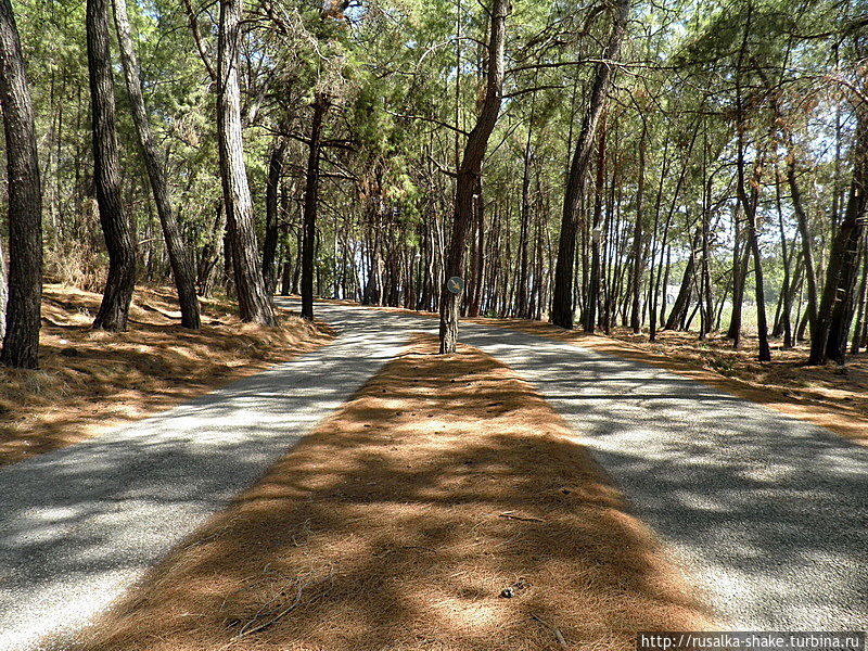 Подводя итоги... Мой 2012