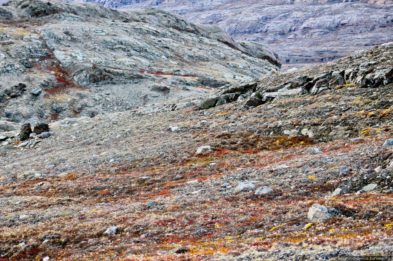 Мыс Петерсенс Остров Имер, Гренландия