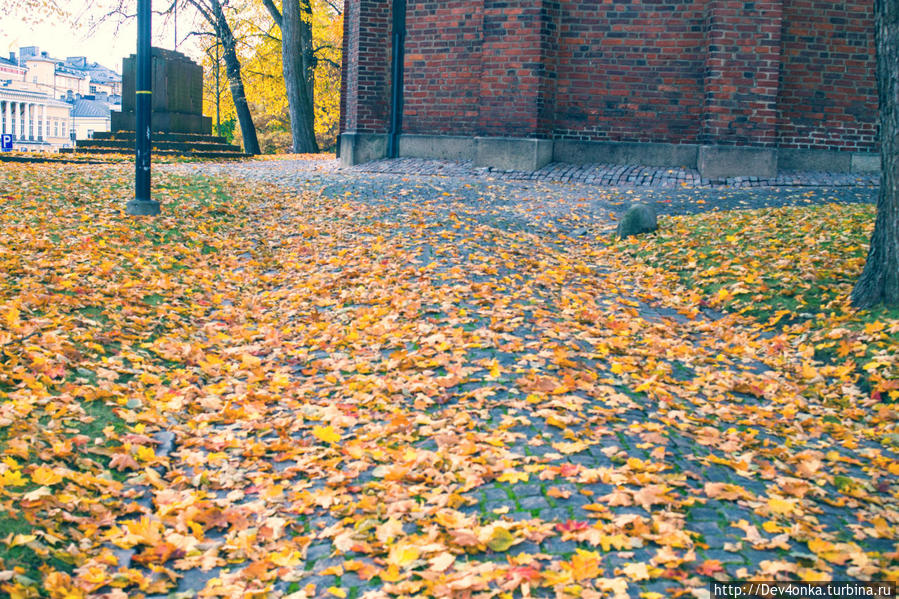 осень в самом разгаре Турку, Финляндия