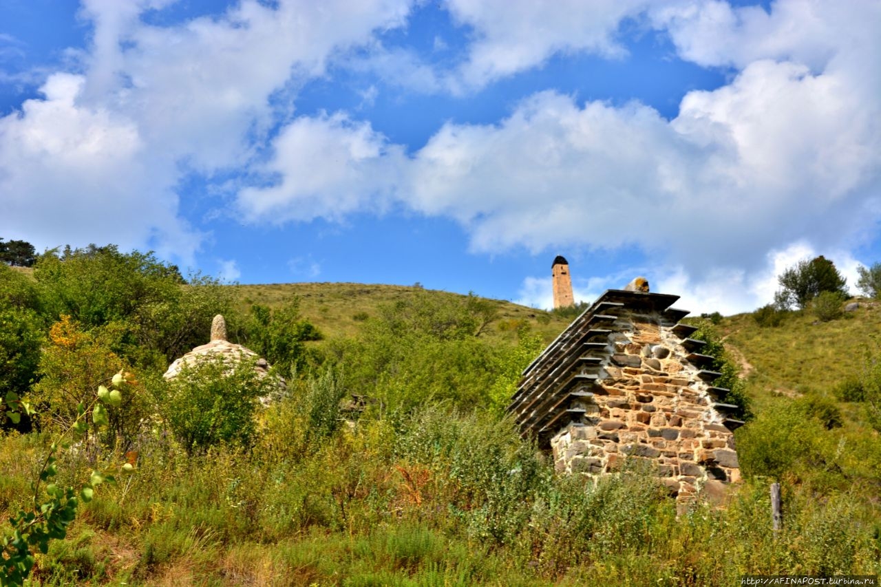 Вовнушки Вовнушки (замковый комплекс), Россия