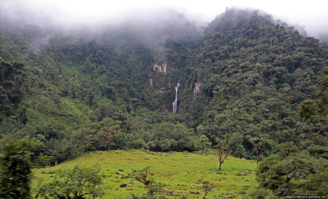 N.P. Cayambe-Coca — горы, реки, водопады. Дорога в облаках Кайамбе-Кока Экологический Заповедник, Эквадор