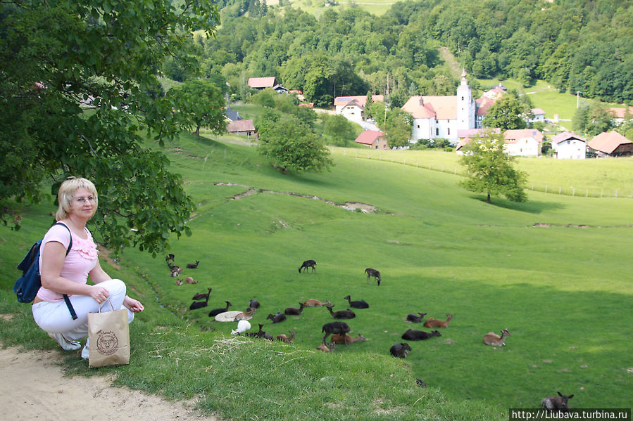 Вид с фермы Олений гребень на монастырь Рогашка Слатина, Словения
