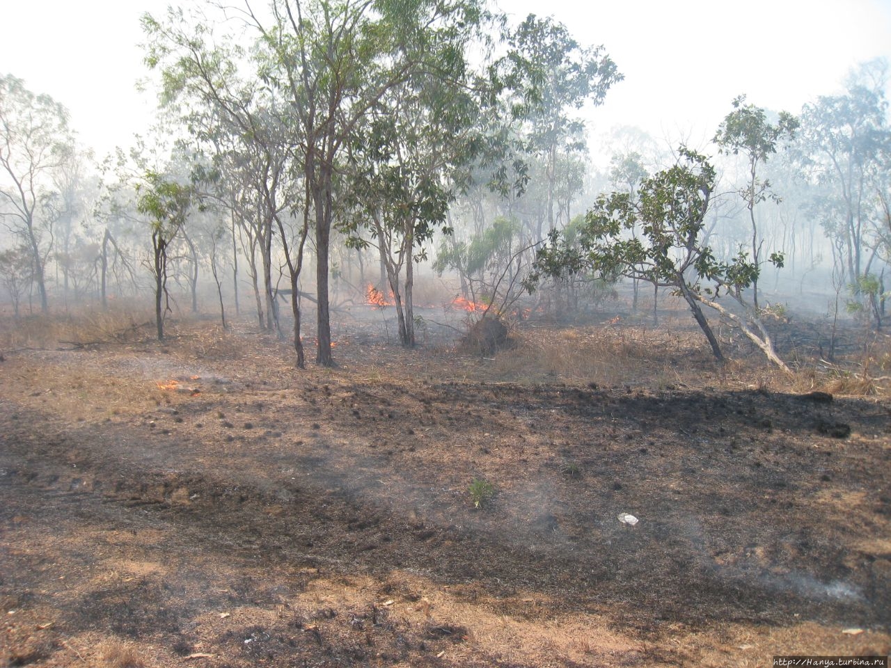 Управляемые пожары в буше на пути в урочище Убирр. Ч.27 Какаду Национальный Парк, Австралия