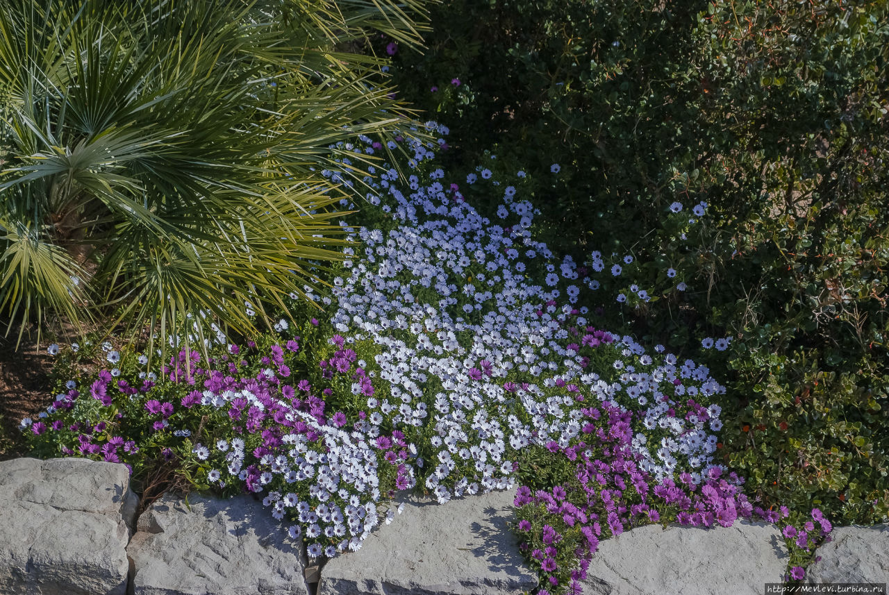 В апреле на средиземном Ситжес, Испания