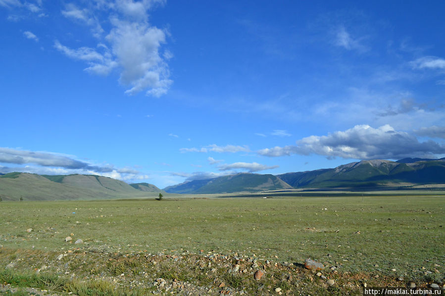 Курайские пейзажи Республика Алтай, Россия