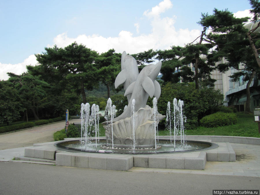 Зоопарк Сеула. Третья часть. Сеул, Республика Корея